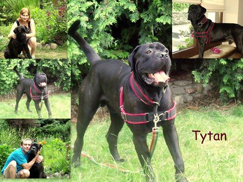 Tytan wpadł się pochwalić przed Wami i Podziękować za Udostępnienia